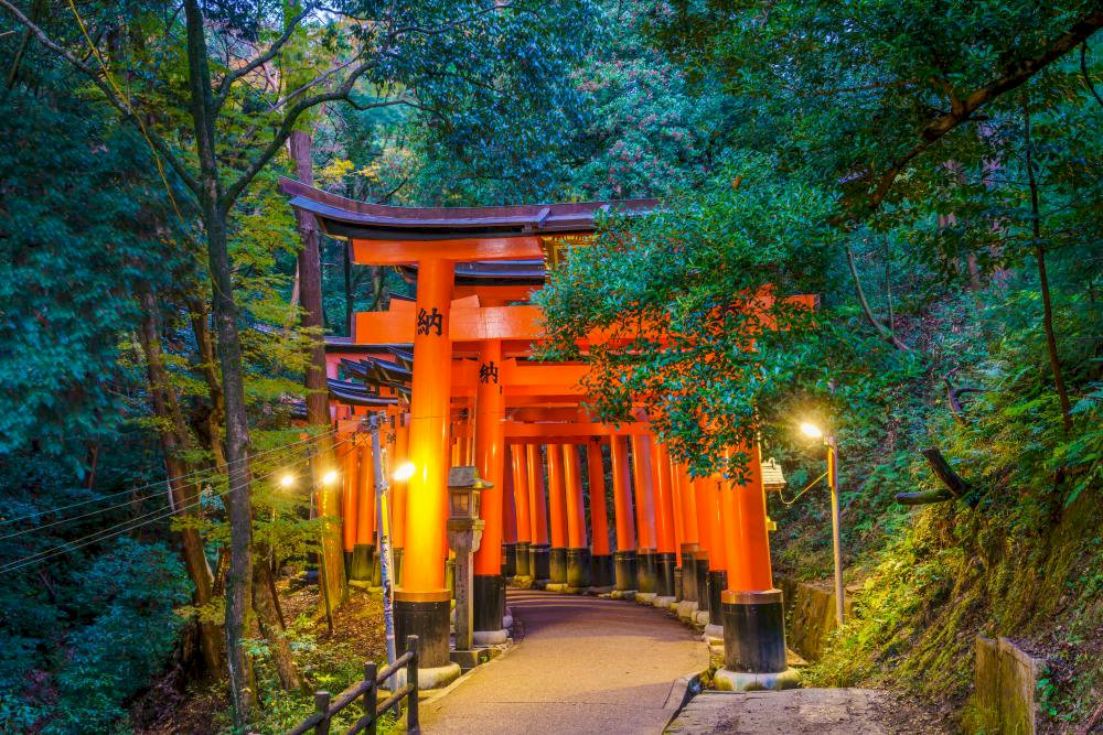 The gates create tunnels through the forest, representing sacred symbolism, ancient architecture, and photo-worthy symmetry.